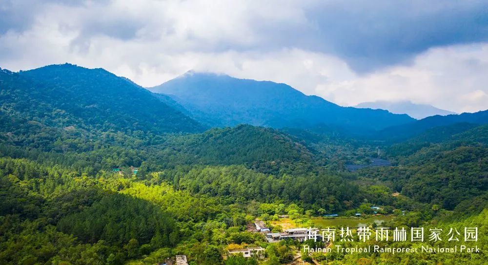 尖峰岭国家森林公园,霸王岭国家森林公园,国家森林公园,热带雨林,海南