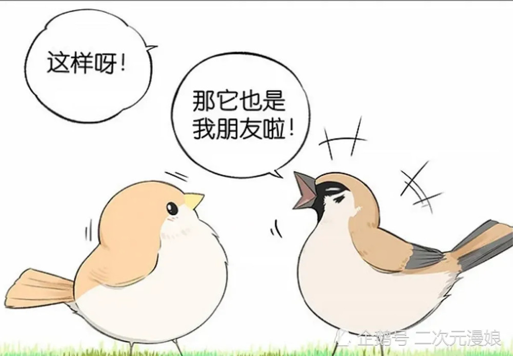 轻松一刻:小麻雀到北方后被同类排斥,大雁先生又偷偷开口了