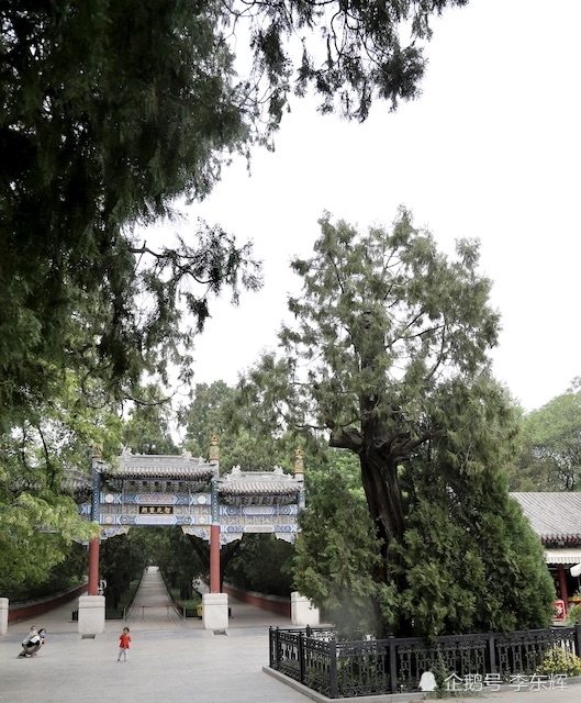 北京植物园,北京,卧佛寺,展览温室