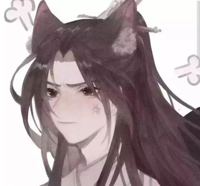 二哈和他的白猫师尊,墨燃,白猫,薛正雍,墨微雨