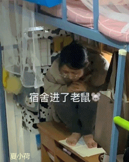 5.宿舍里进了老鼠,小姐姐已经待在桌子上俩小时了!