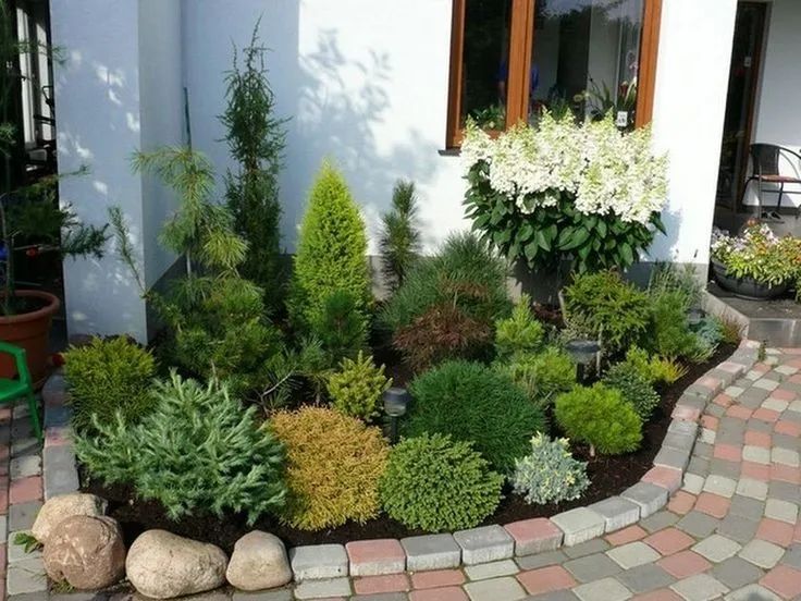 怎么软化庭院边角——小庭院建筑微域环境与植物要了解!