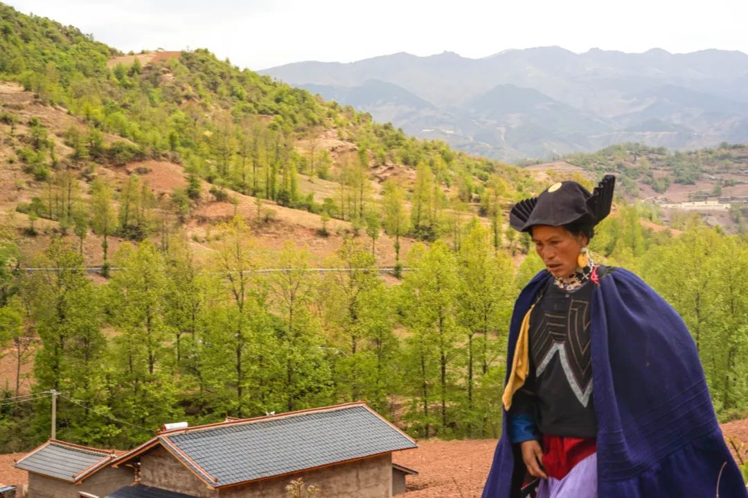 凉山彝族自治州,美姑县,扶贫