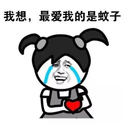 蚊子,蚊虫叮咬