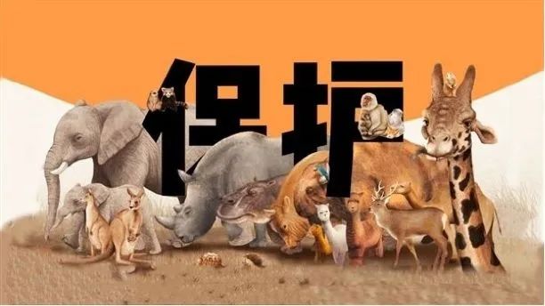 【文明健康 有你有我】公益广告宣传-保护野生动物