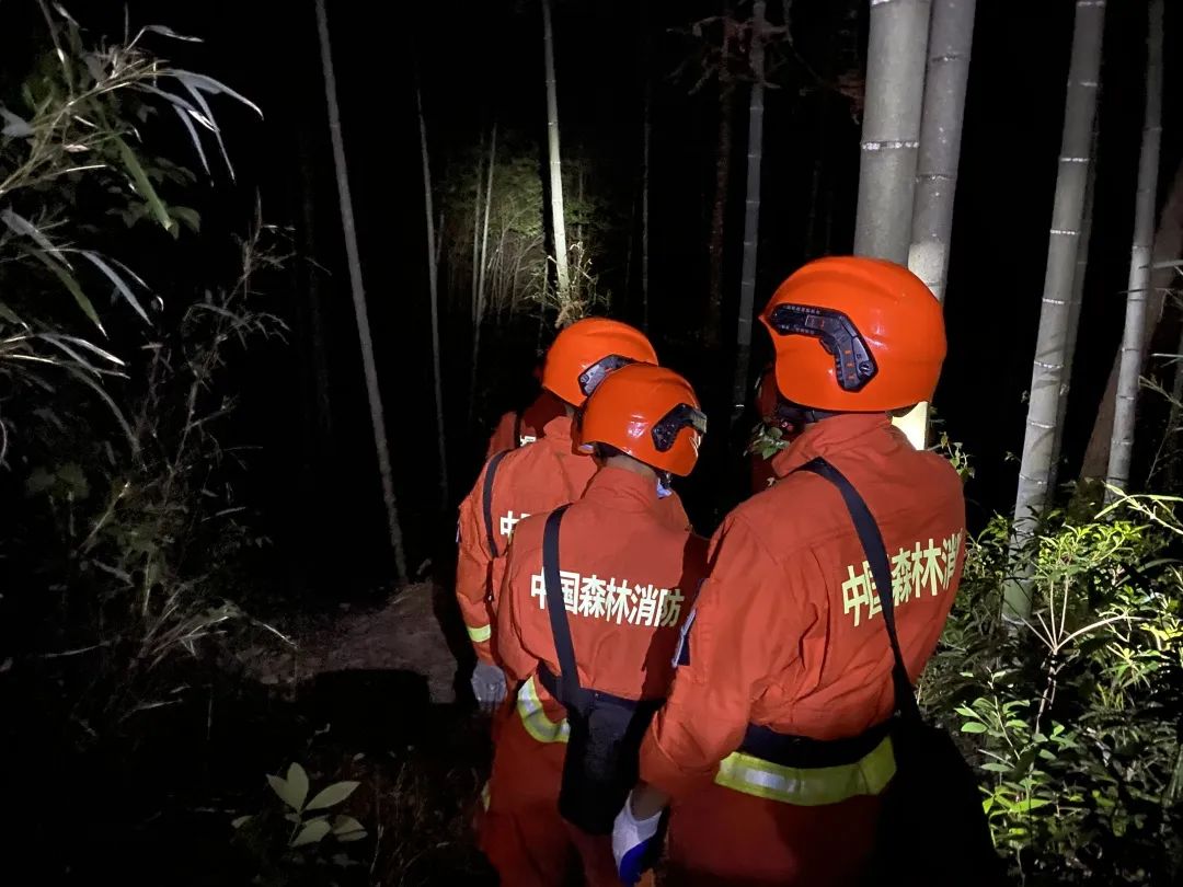 武夷山一茶农迷路失联,森林消防指战员紧急搜救
