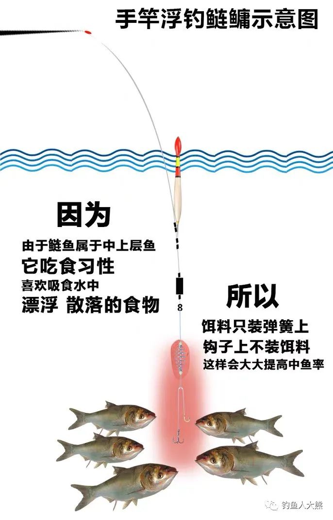 垂钓,饵料,鱼类,鳙鱼,鱼钩,鲢鱼