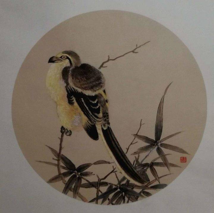 淄博市老年大学国画班临摹宋代花鸟小品云展