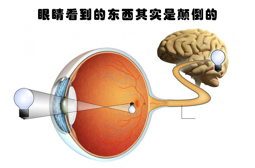 1,眼睛看到的东西其实是颠倒的