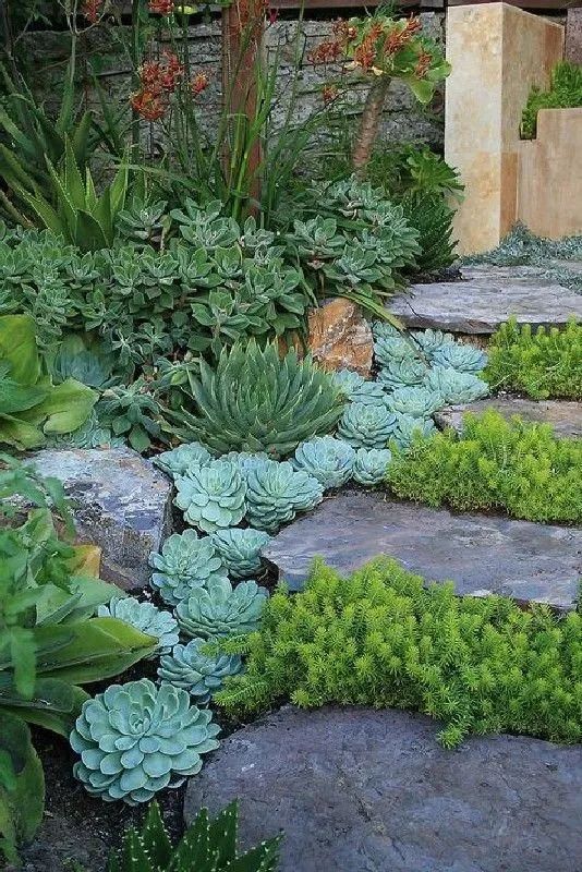 小庭院植物景观个性化设计,需要遵循哪些原则呢?