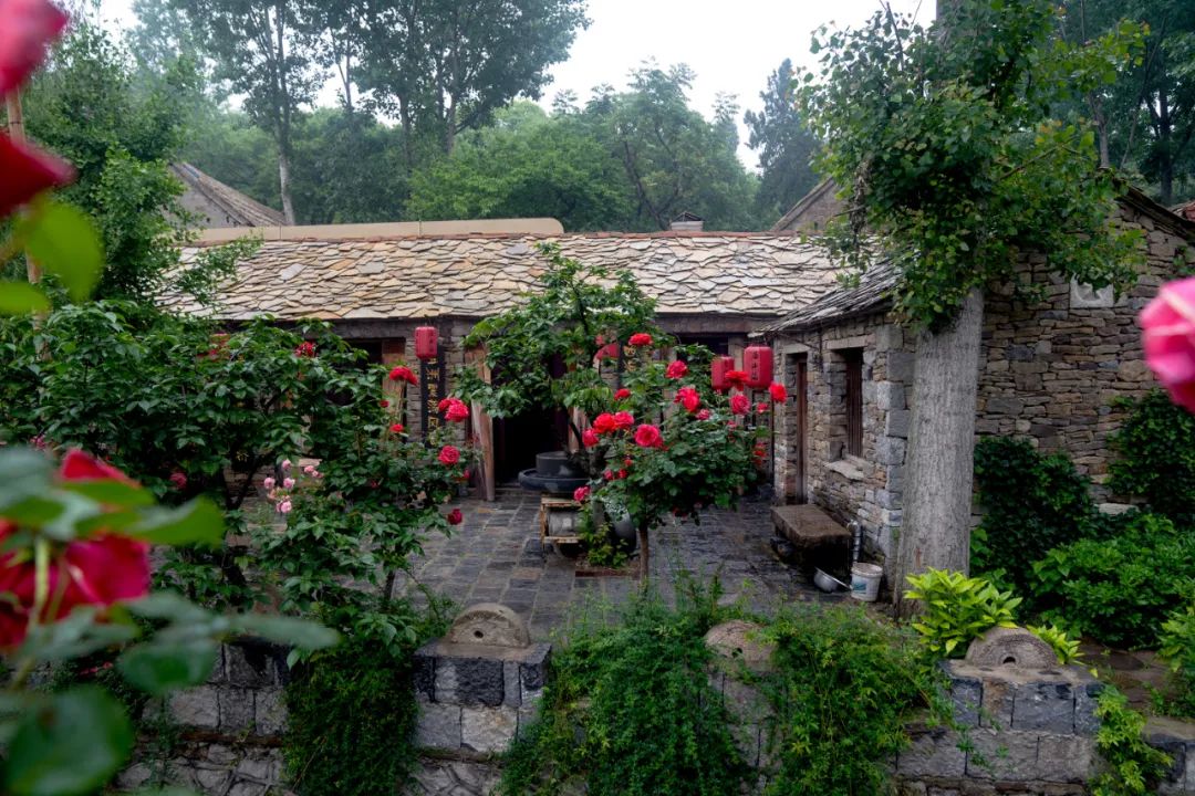 压油沟,旅游景区,白马寺,兰陵县