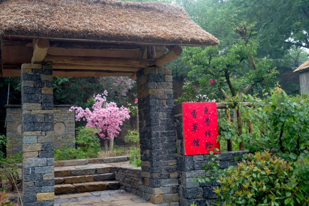 压油沟,旅游景区,白马寺,兰陵县