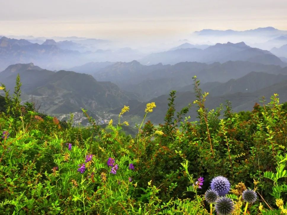 今日起百花山风景区恢复营业