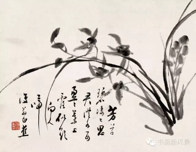 白蕉,兰花,书法,谢稚柳,徐悲鸿
