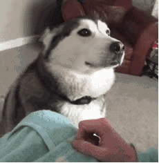 这就是得不到的永远在骚动,被偏爱的有持无恐?