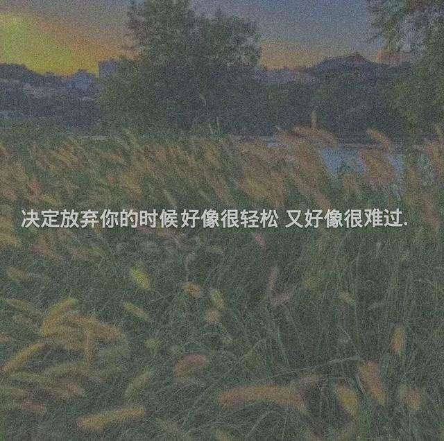 丧到极致的抑郁文案·你摸过我的后脑勺,我就是你的人