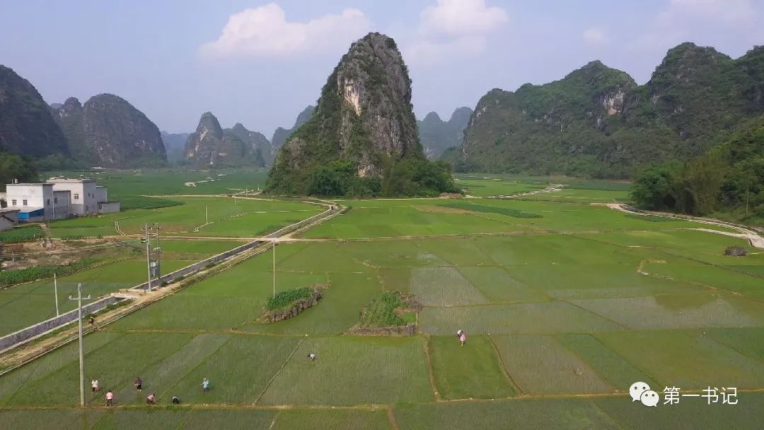 天等县,辣椒,孔村,第一书记,南岭村,广西