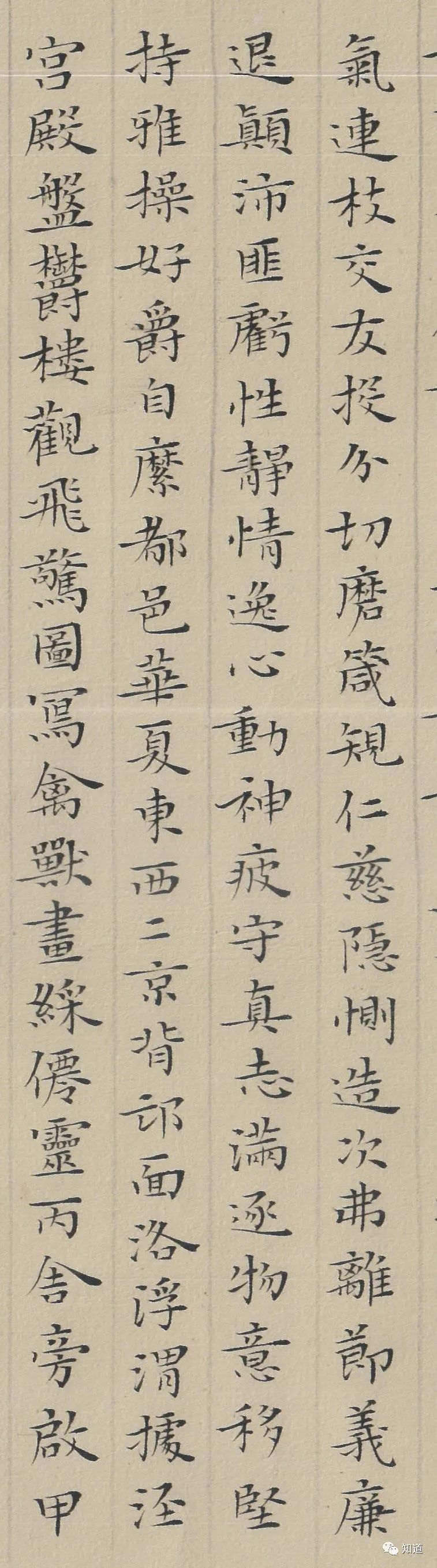 杨文彪小楷千字文