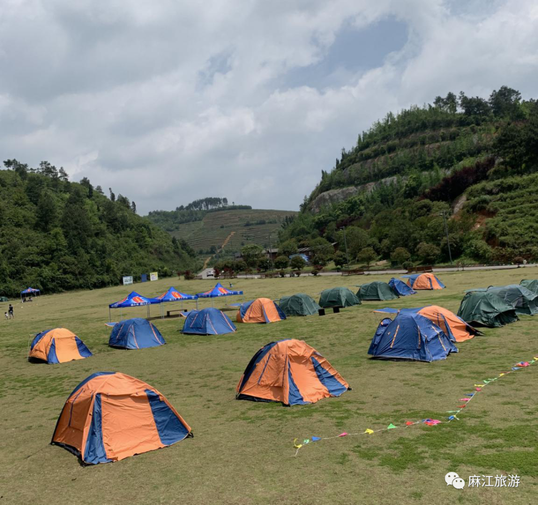 舌尖水果之旅,蓝莓成熟等你来-麻江蓝莓生态旅游景区