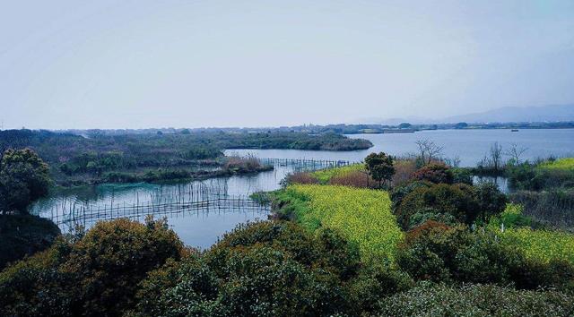 旅游景区,下渚湖,浙江,湿地,朱鹮,4a