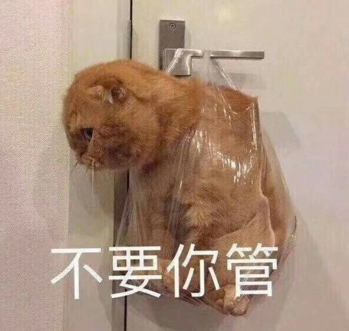 表情包:事已至此,先吃饭吧