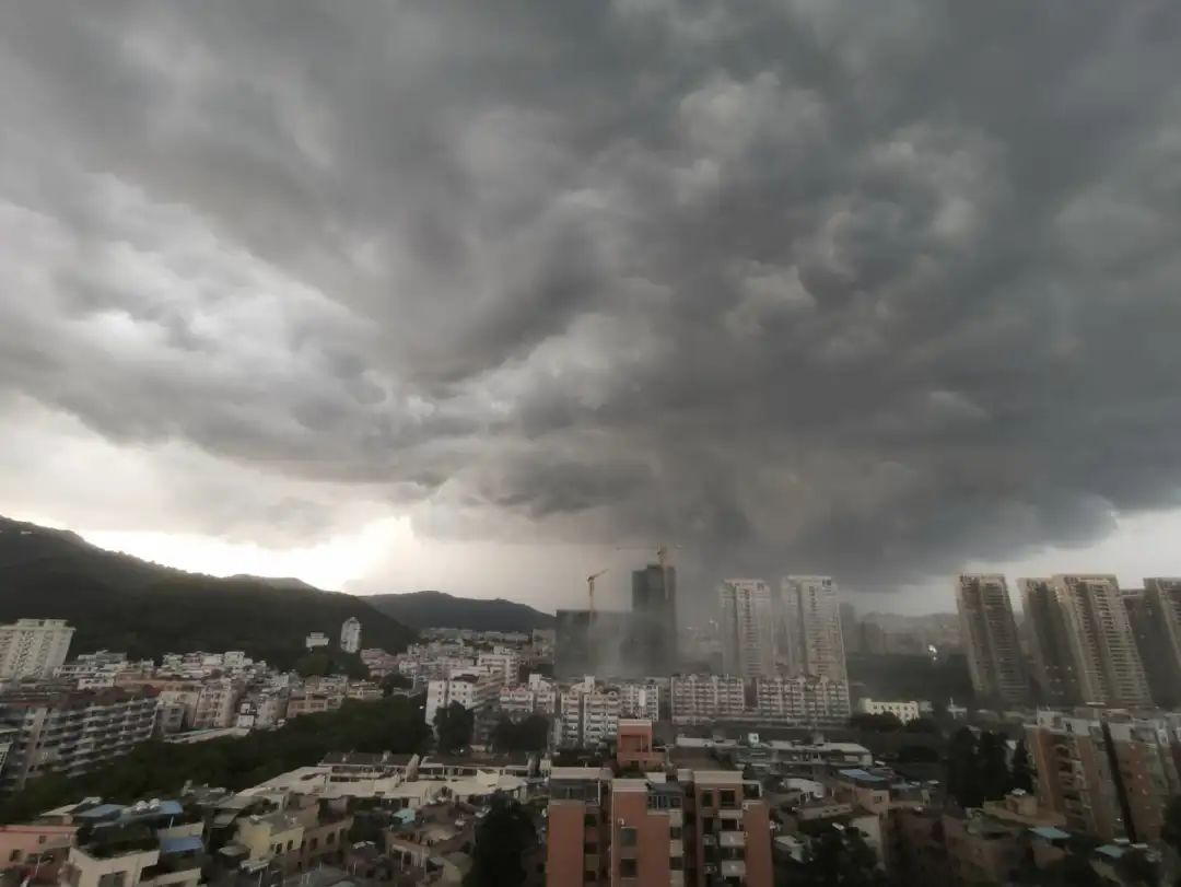 暴雨,冰雹,大风,黄色预警信号,橙色预警信号,雷雨大风