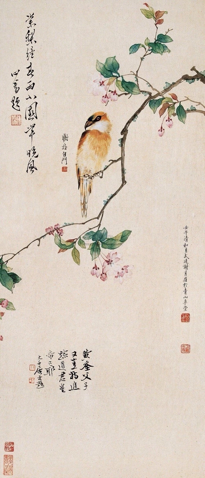 谢月眉,女画家,谢稚柳,花鸟画,海派