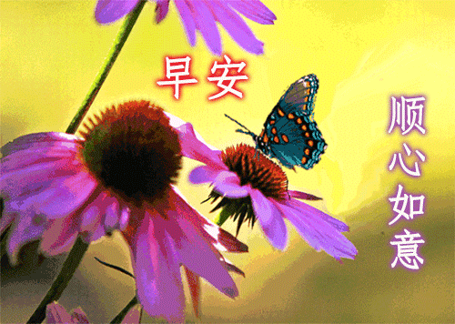 2020年9月9日早上好问候语图片大全 早安问候语表情唯美句子