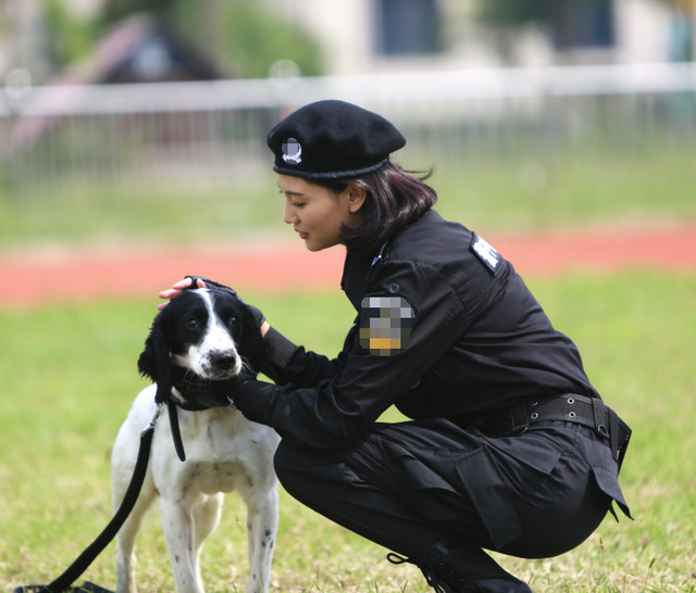 《警花与警犬》要出第二部,于和伟跟侯梦莎又要组cp