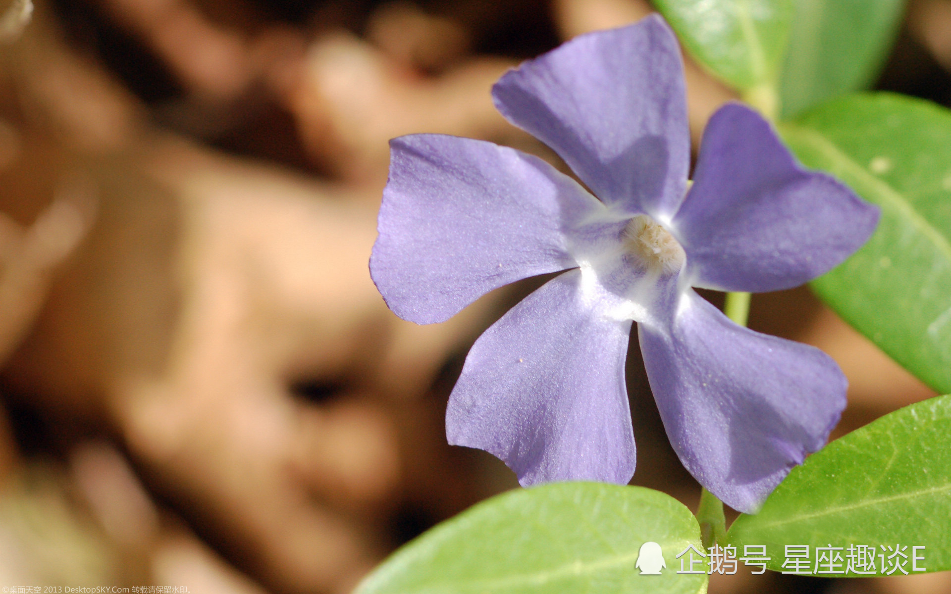 5月18日 24日星座运势 双子劳逸结合 天秤成熟稳重 摩羯量力而为 看点快报