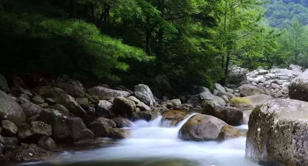 黄柏塬大箭沟景区