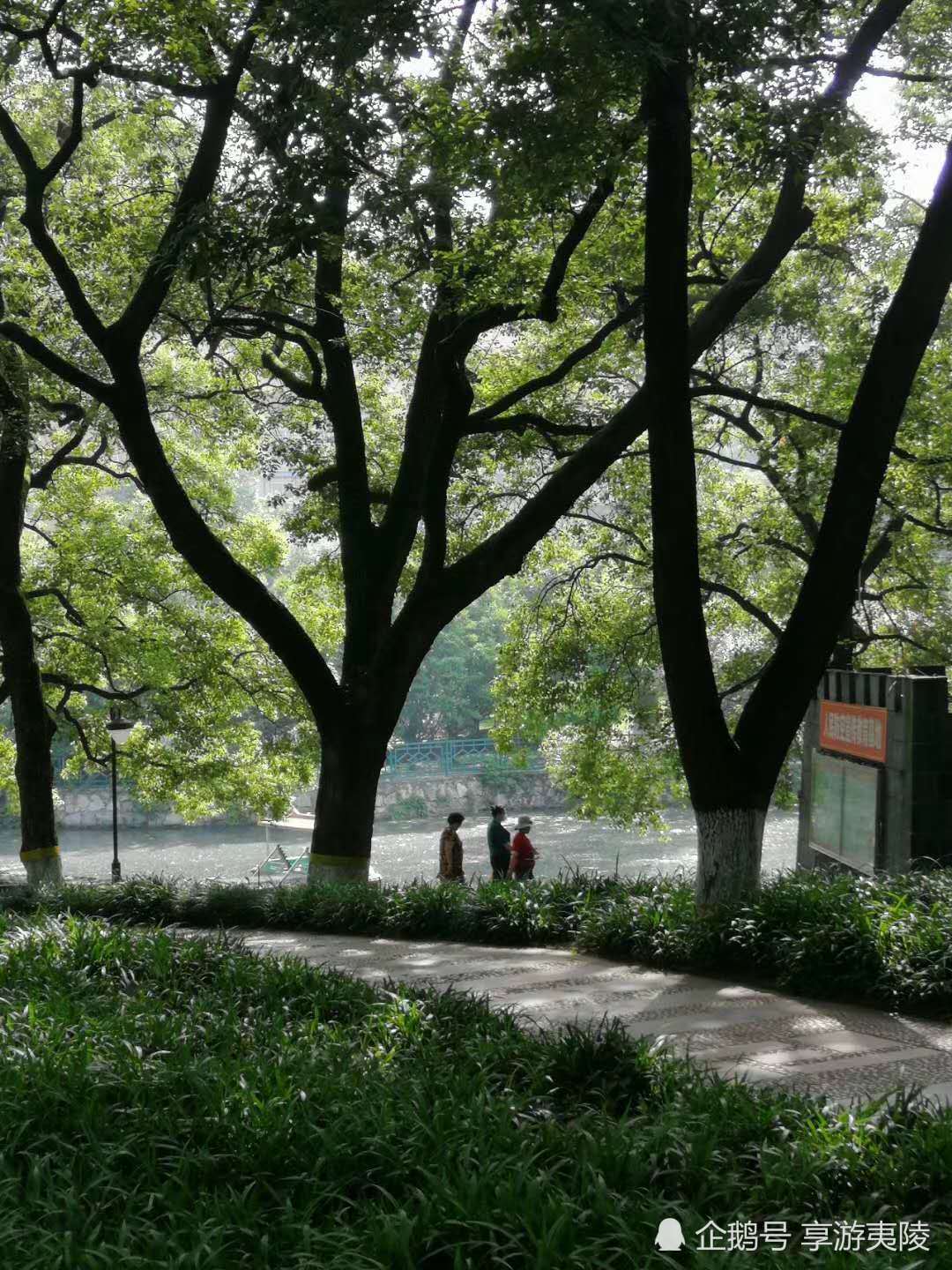 树影婆娑,宜昌儿童公园