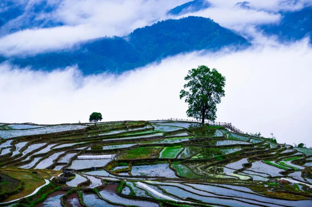 龙胜小岩底梯田开启诗意般观光摄影模式