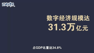 中国国营企业占经济总量多少_汉族占中国百分之多少