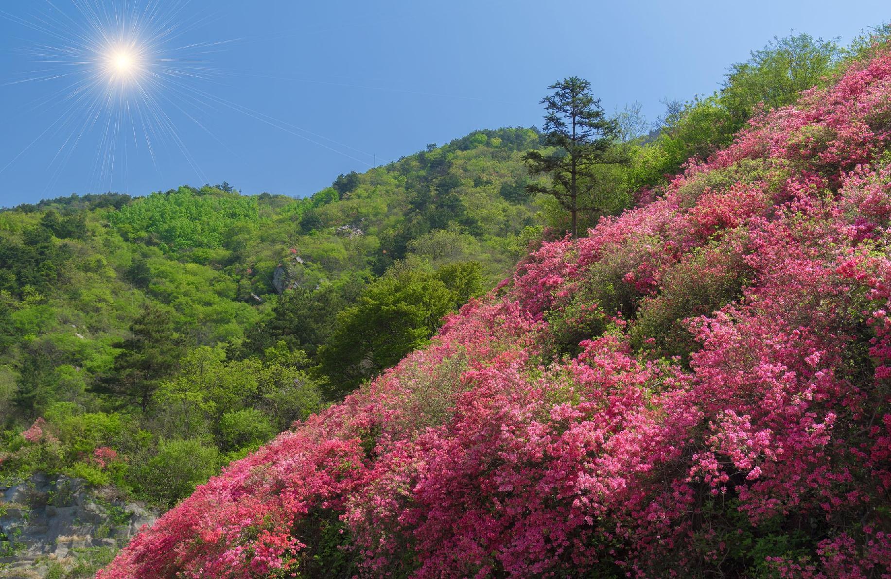武汉木兰云雾山风景区