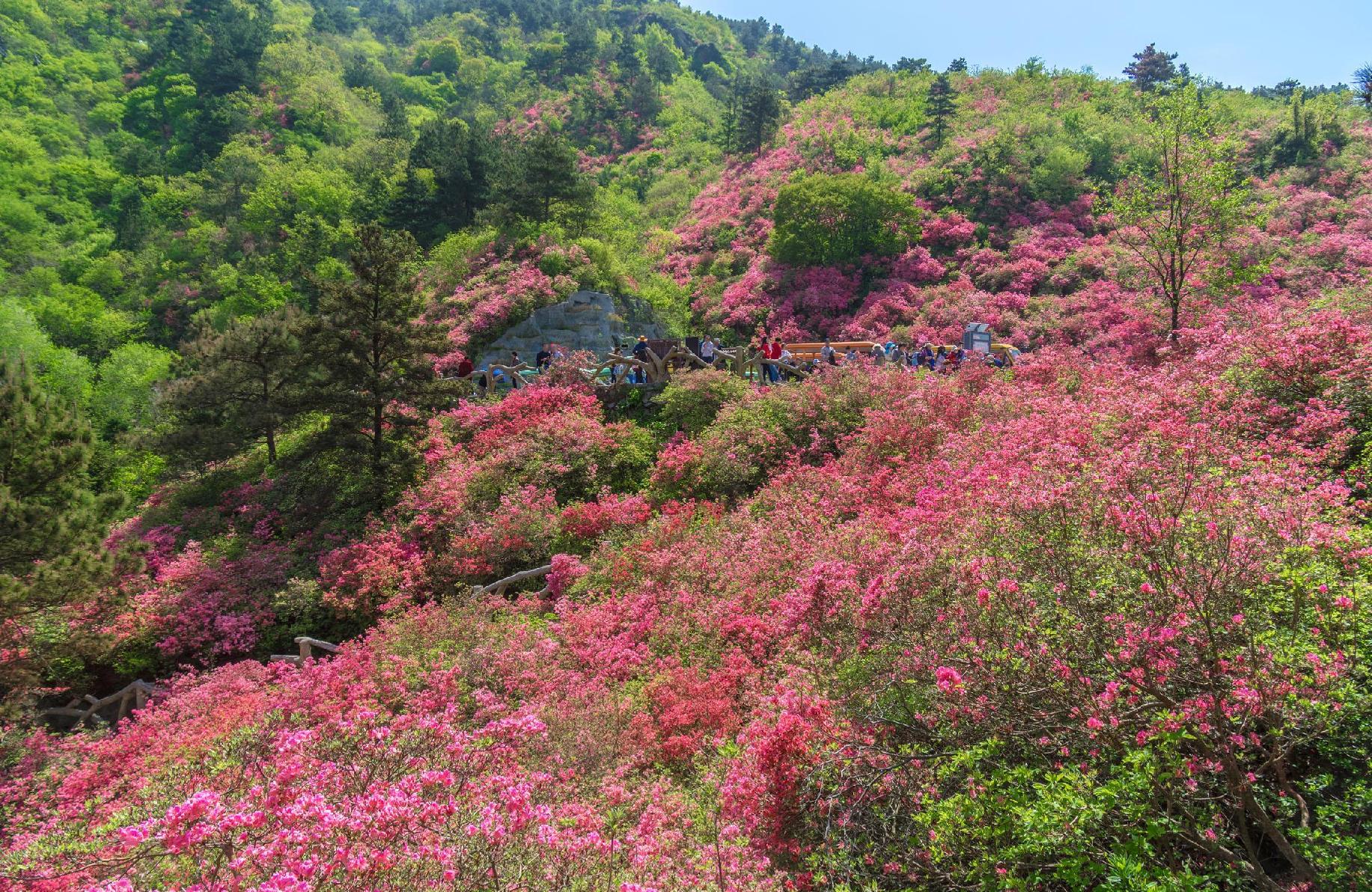 武汉木兰云雾山风景区