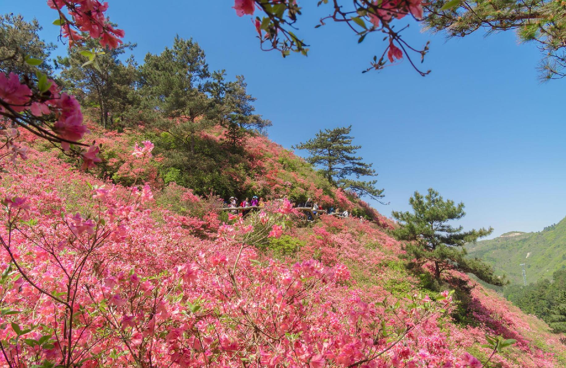 武汉木兰云雾山风景区