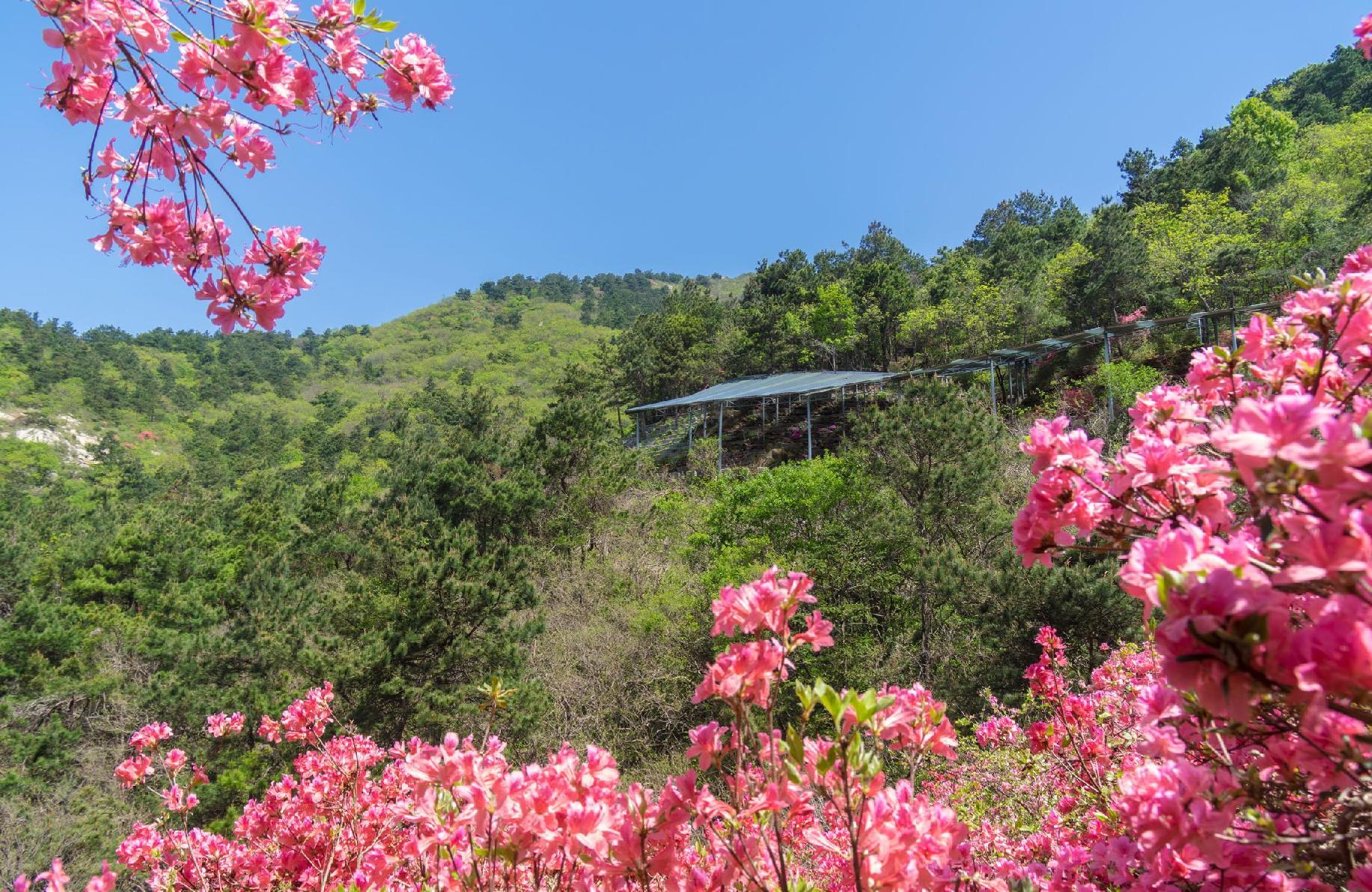 武汉木兰云雾山风景区