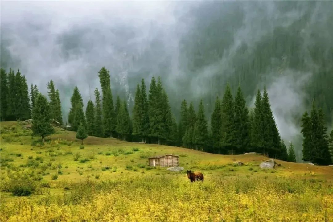 新疆,风景名胜区,冰川雪山,丹霞地貌,沙漠草原