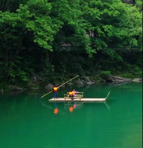 陇南康县"康县牌"空气 等着来"氧"你