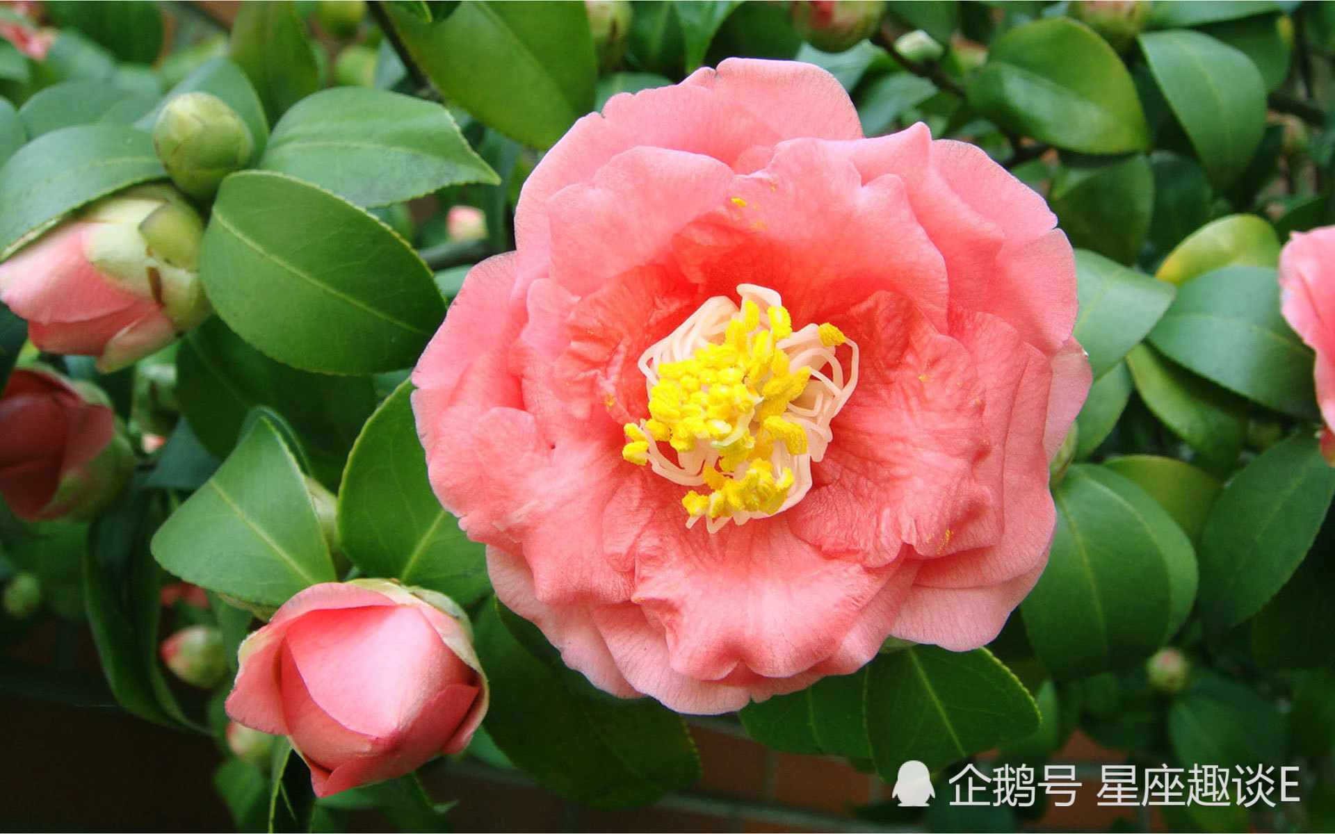 5月日星座运势 双子热情似火 天秤注重细节 双鱼幽默风趣 看点快报