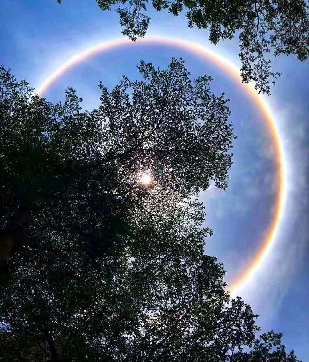 那这究竟是什么自然现象呢?