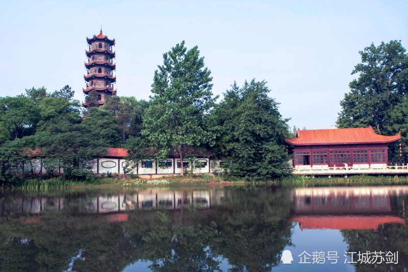 疫后余生,不负春光——走进武汉·汉口解放公园欣赏美丽春色!