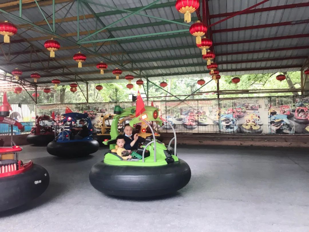 儿童公园,金家花园,绍兴,过山车,祺祺,摩天轮