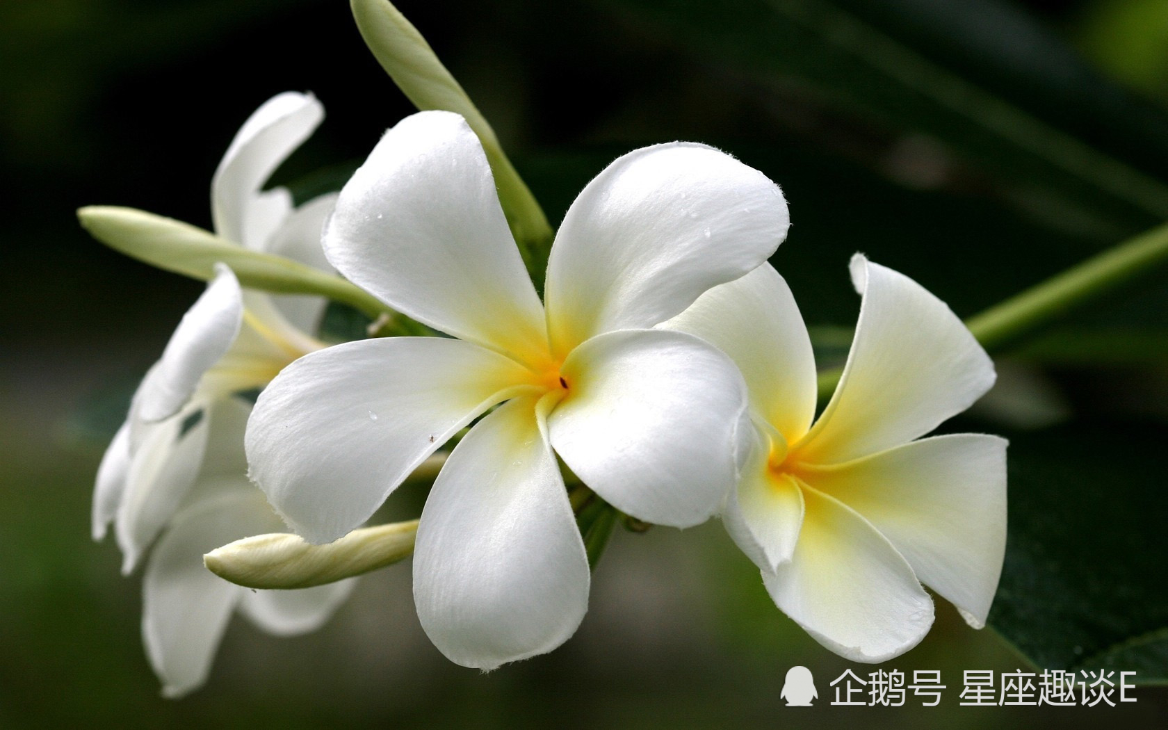 5月21日星座运势 巨蟹稳扎稳打 天蝎目光长远 射手严于律己 看点快报
