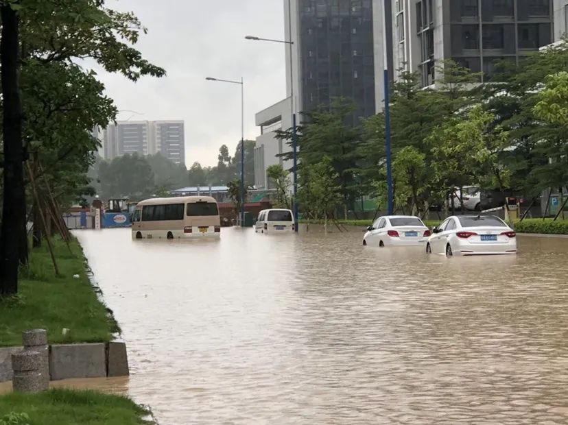 大雨,暴雨,降水,雨水,广东,雷阵雨