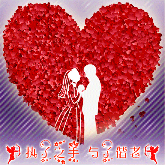 壁纸 花 花束 鲜花 550_550 gif 动态图 动图