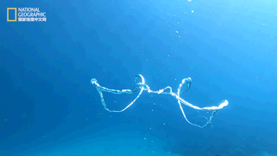 400_225gif 动态图 动图