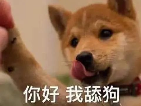我看见了舔狗最卑微的样子