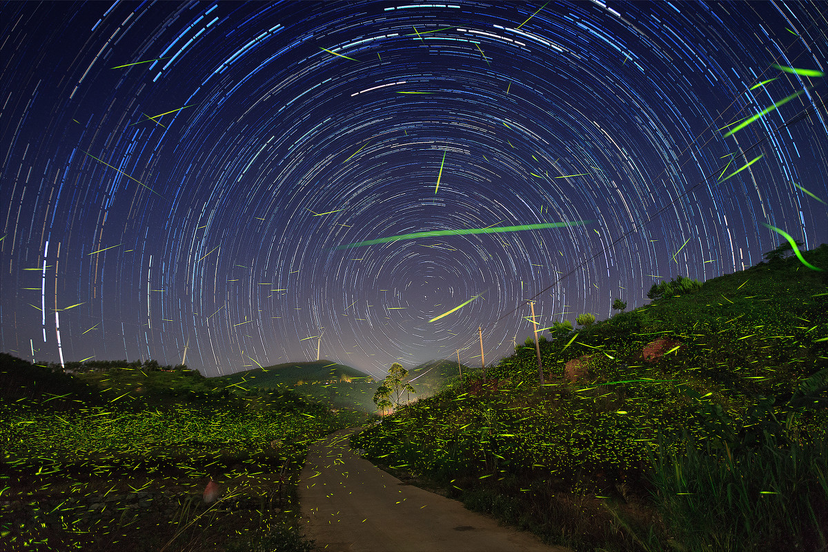 萤火夏日,星光满天